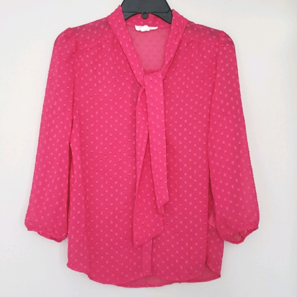 3/$15 Dot tie neck chiffon blouse